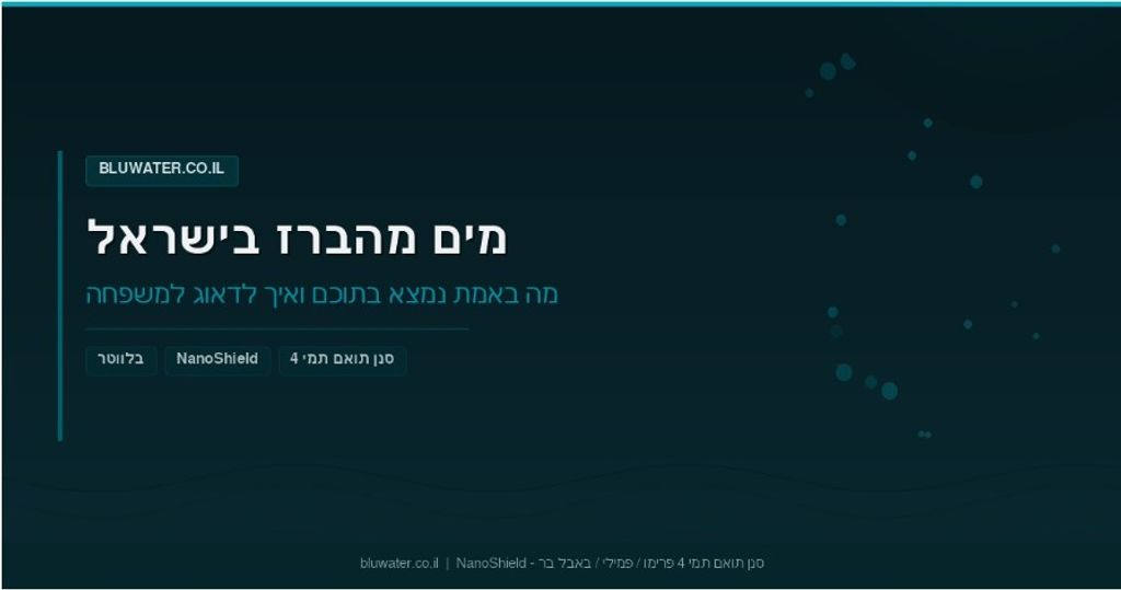 bluwater.co.il סנן / פילטר חליפי לתמי 4